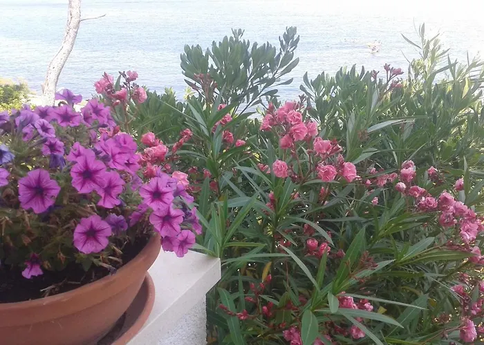 Sea Star Appartamento *