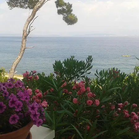 Sea Star Appartement Sutivan
