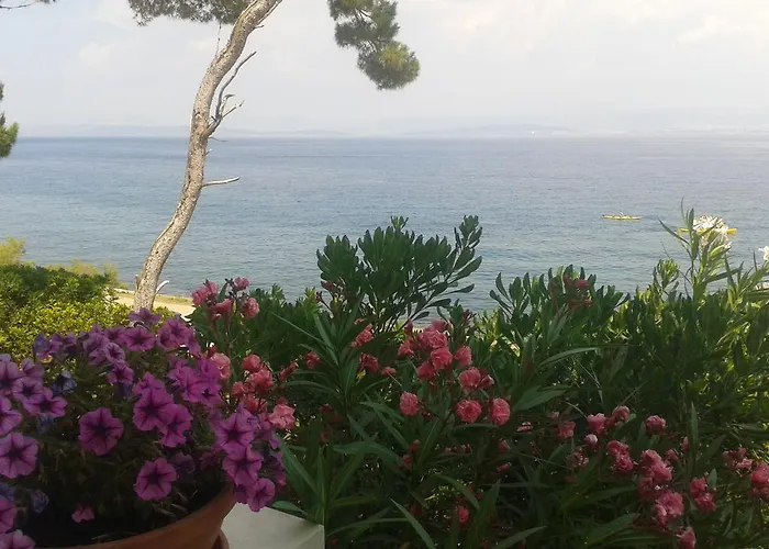 Sea Star Apartmán Sutivan